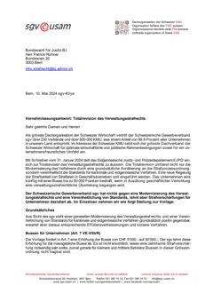  Totalrevision des Verwaltungsstrafrechts