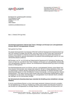  Bericht über Vision, Strategie und Konzept zum Leitungskataster Schweiz (Bericht Leitungskataster Schweiz)